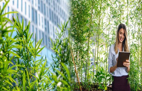 Sustainable Practices in Hospitality Management: Building a Greener Future